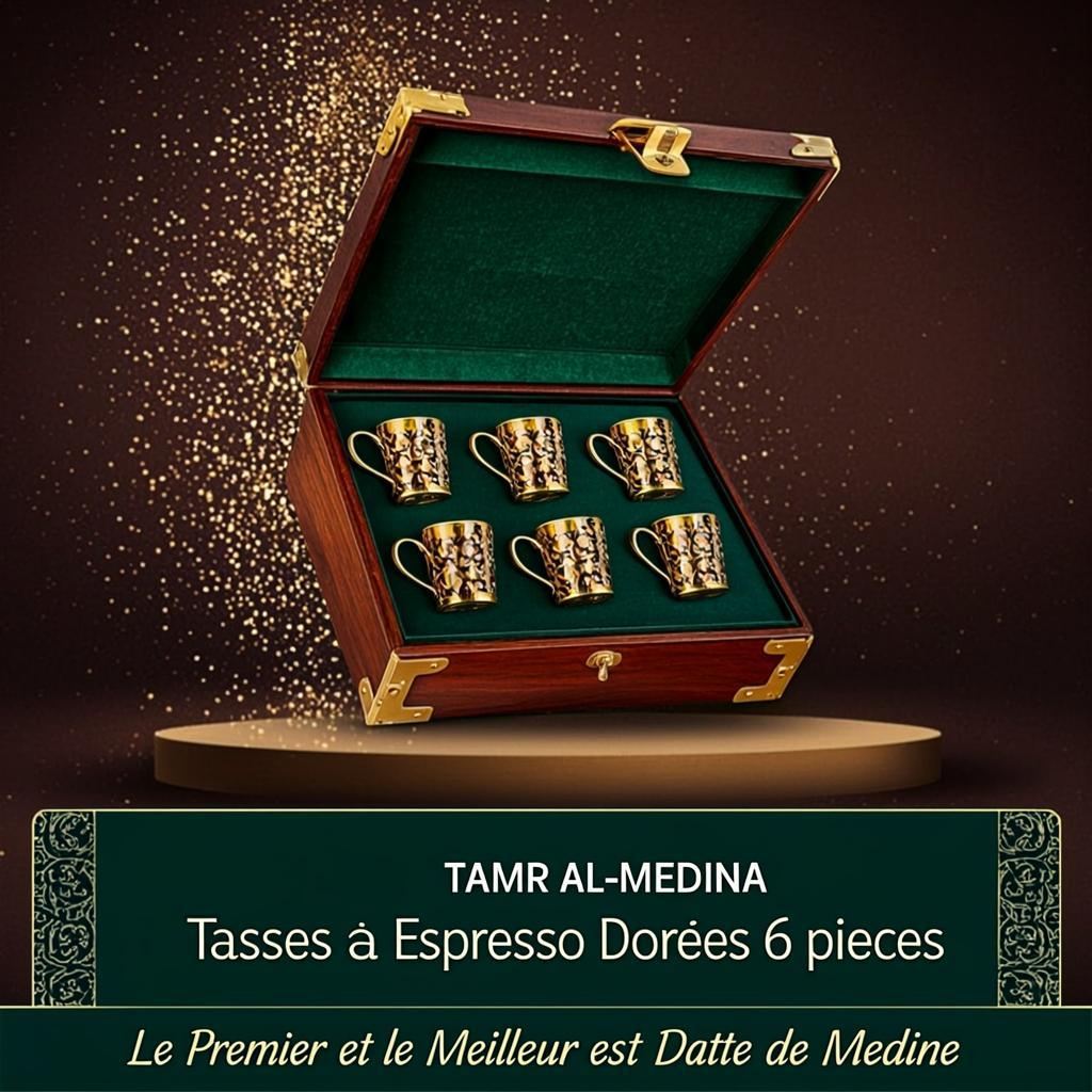 TAMR AL-MEDINA TM-V024